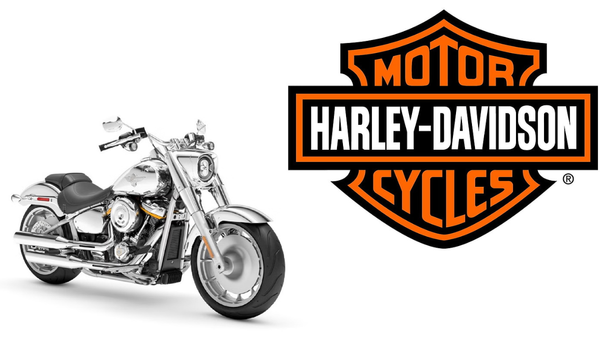 Harley-Davidson Fat Boy Gray Ghost Unveiled – Custom Styling & Bold Presence!